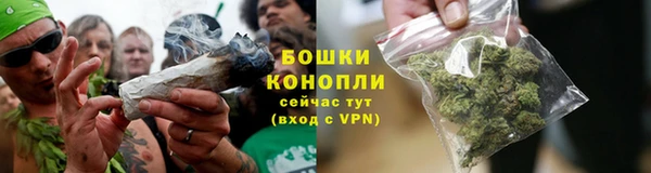 дживик Богданович