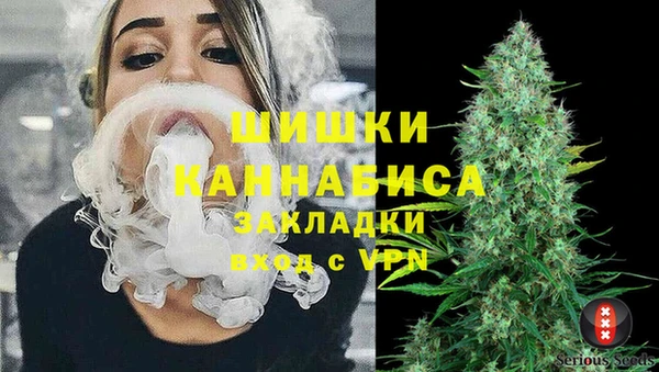 прущие крисы Белокуриха