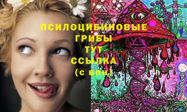 гашик Белоозёрский