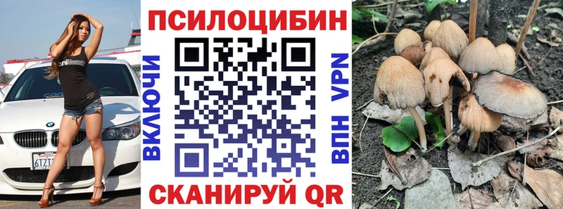 Галлюциногенные грибы мухоморы  Кузнецк 